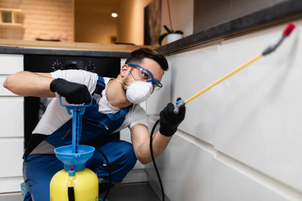 Best Cockroach Control Services  in Palatine, IL