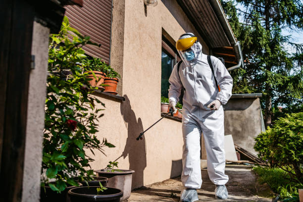 Best Pest Control Near Me  in Palatine, IL
